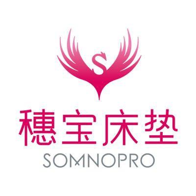 兴宁市穗宝床垫沙发