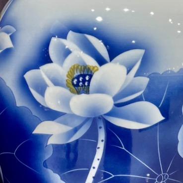 蝶恋花🦋