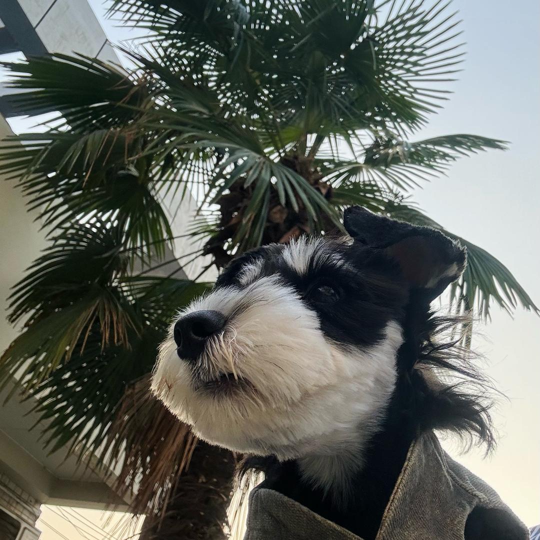 独家记忆 ☁️