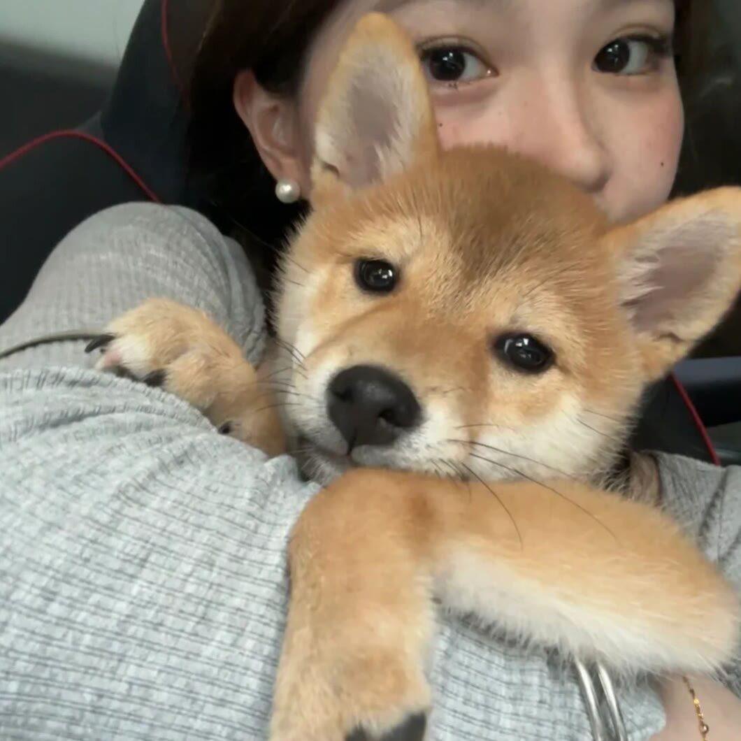 与君生别离