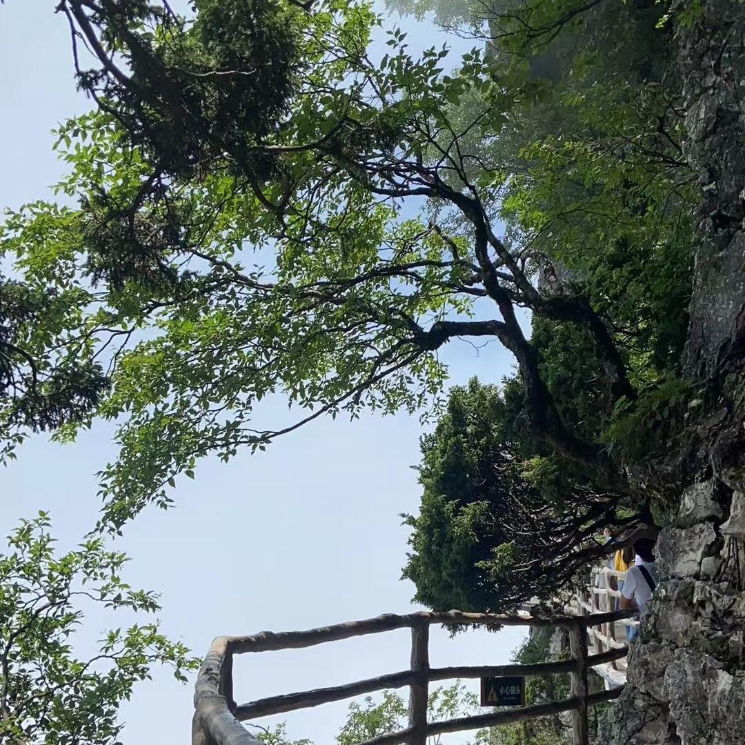 贯乾知甲（原创）