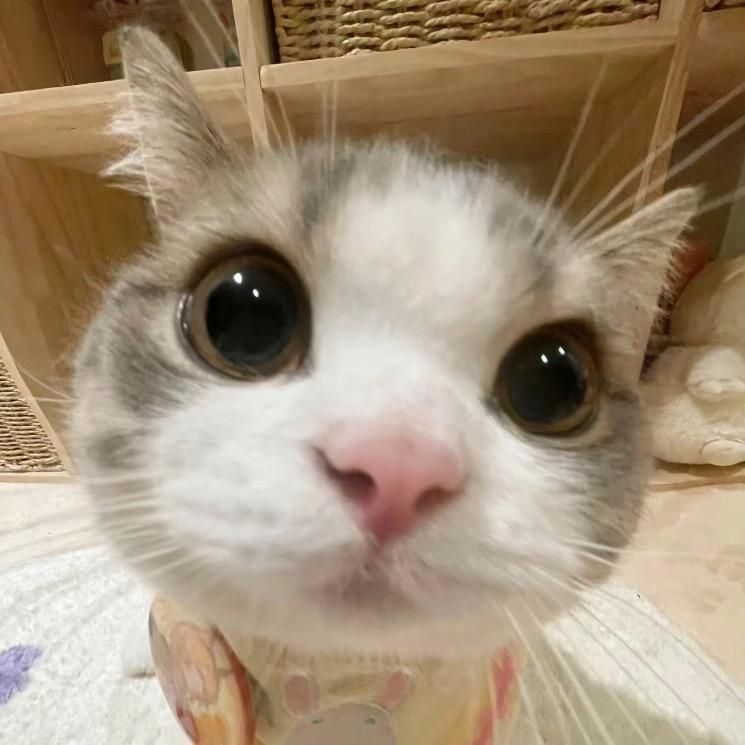 iiiuv
