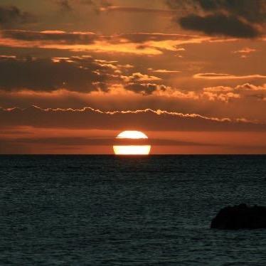 🐯爷们👉💕🌙🐰