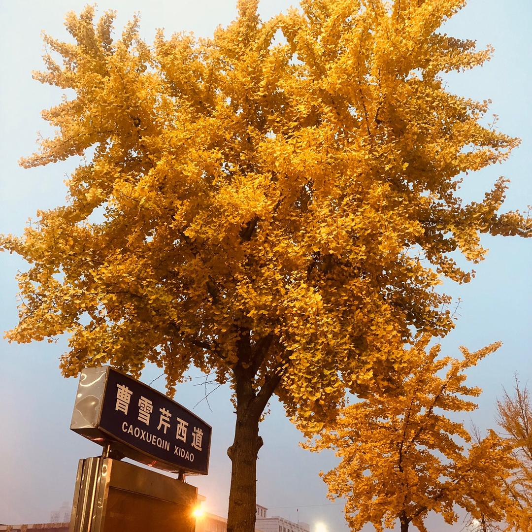 平安健康幸福快乐