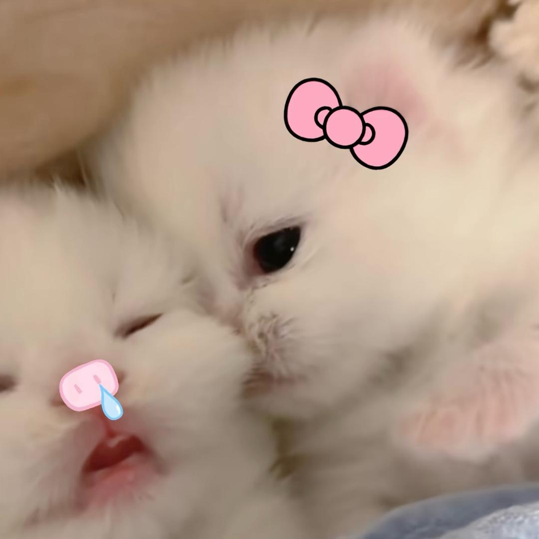 伊