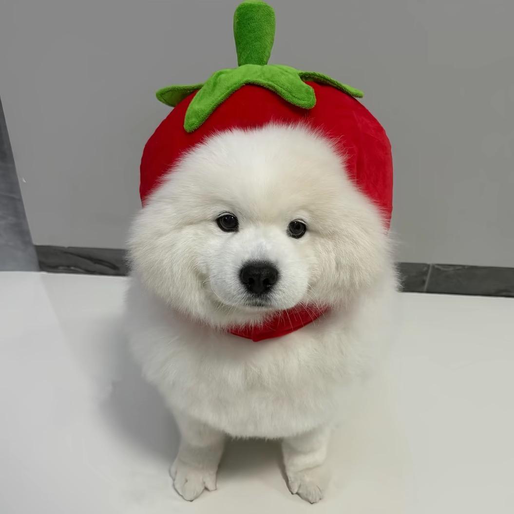 @唔呜巫