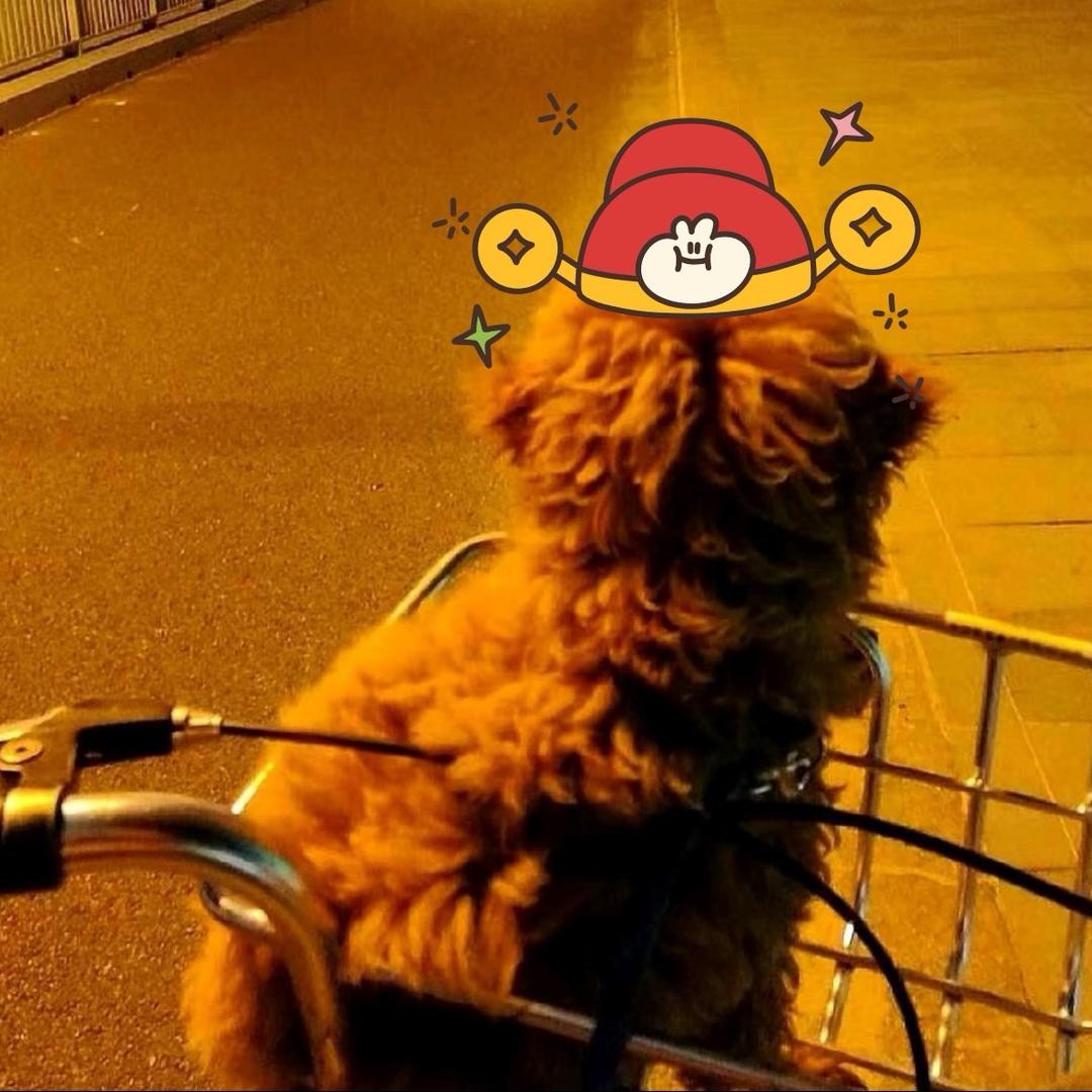 圆满结束