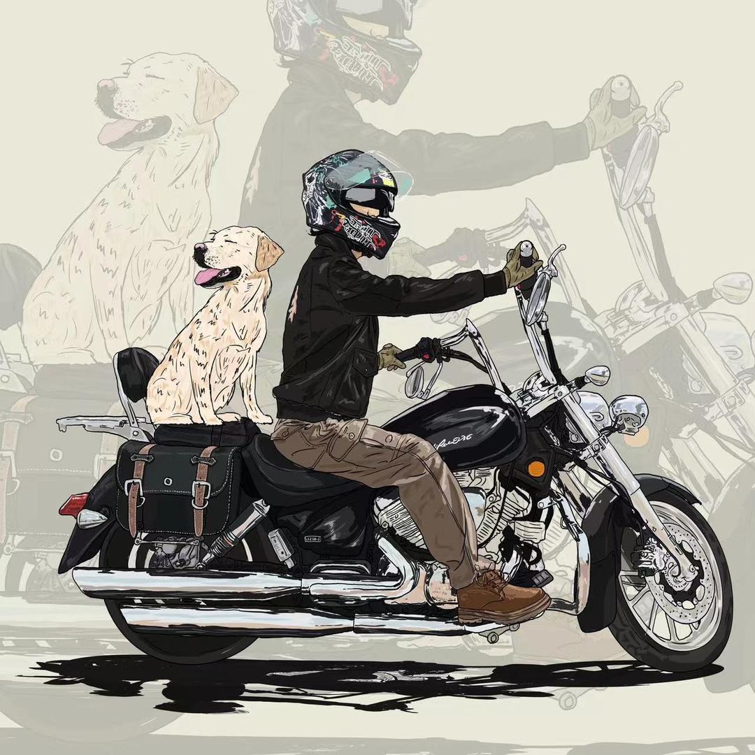 机车大叔-多肉（招主播）