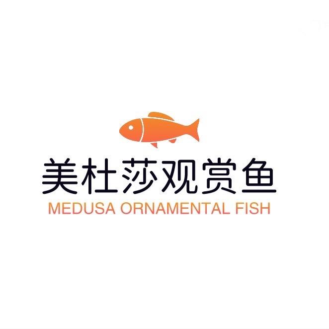 美杜莎观赏鱼