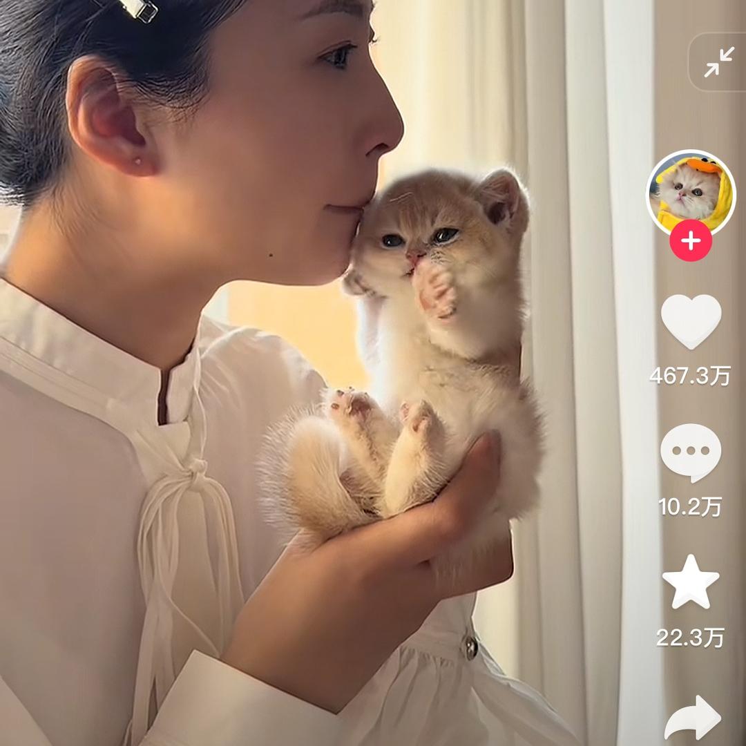 蛹成蛾还是蝶