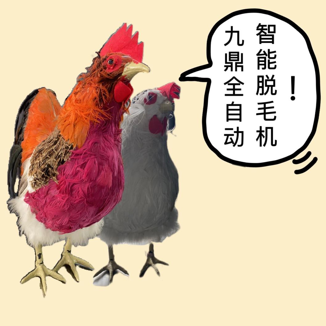 许昌智工脱毛机