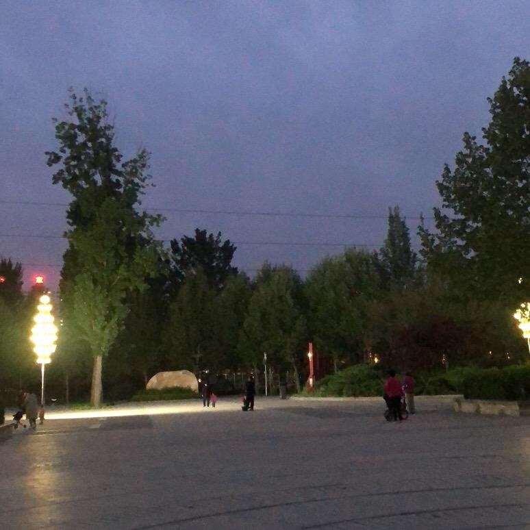 一抹阳光