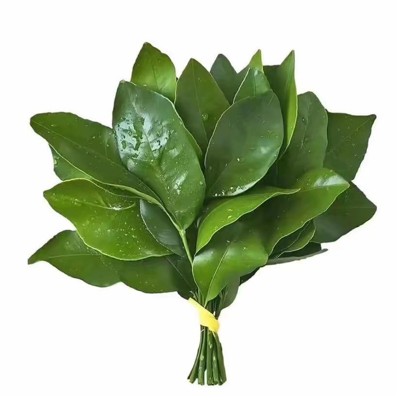 是*露露吖！（ 重生 ）