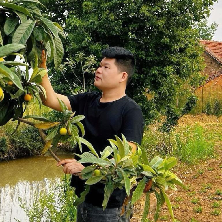 龙小龙