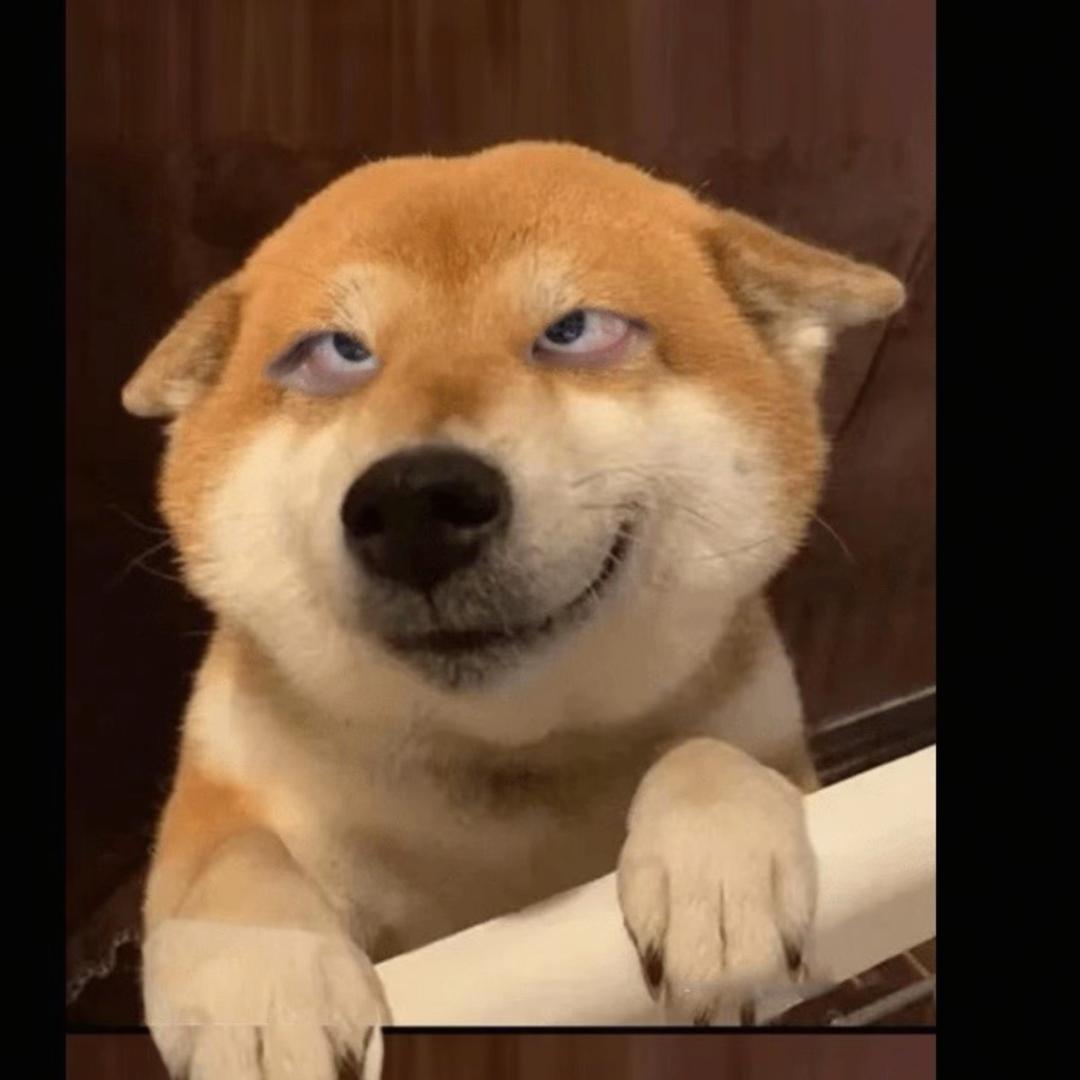 py