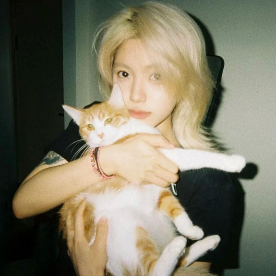 别at我我女明星