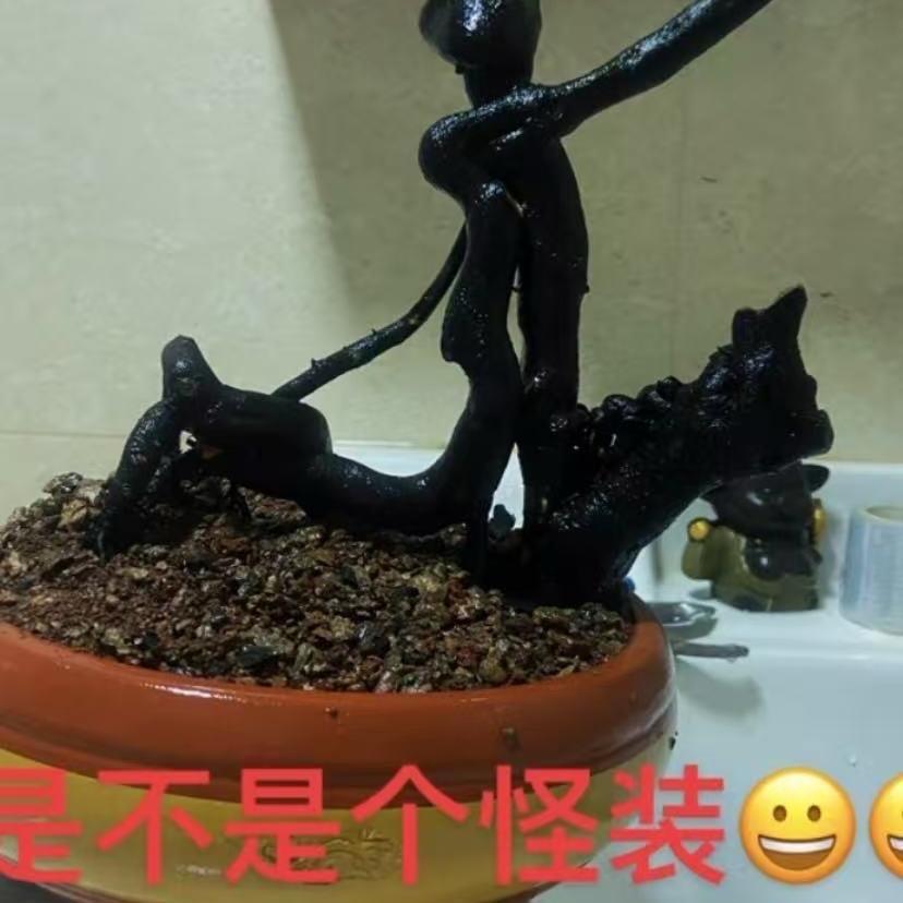 金弹子甄选阁小号