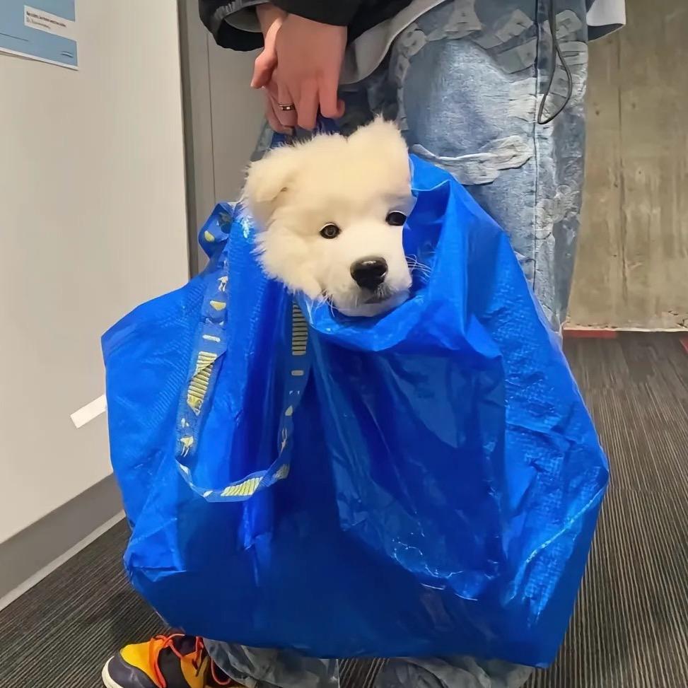 不吃辣椒