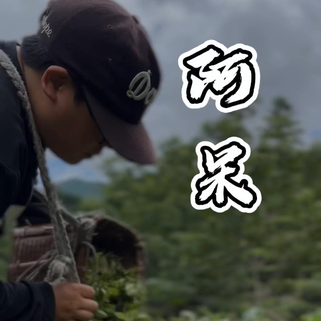 高庄茶苑阿呆