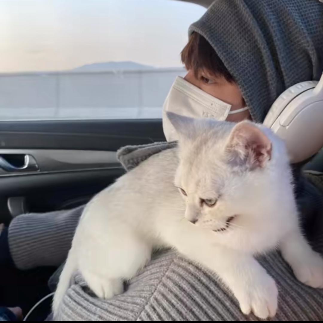 洁jie^_^