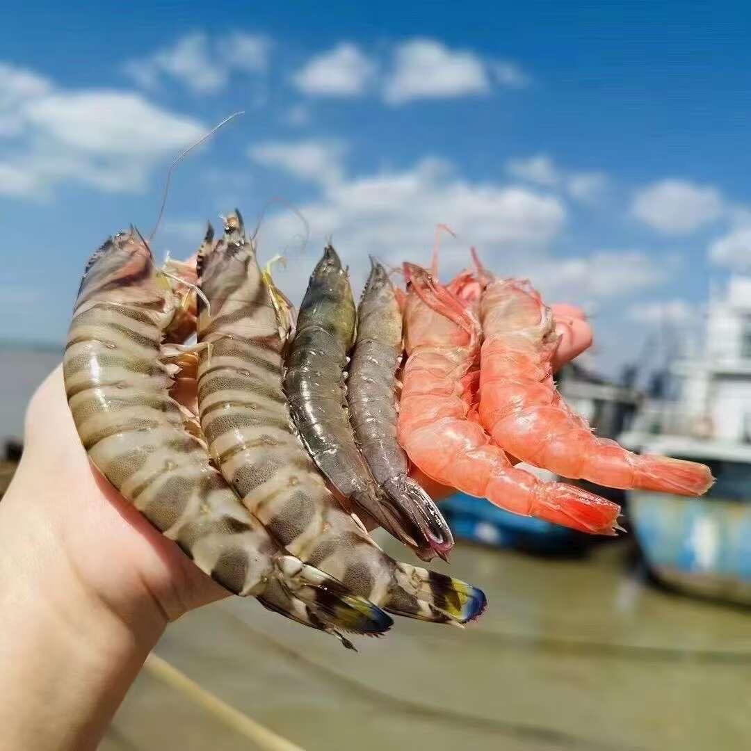 芊寻海鲜零售店