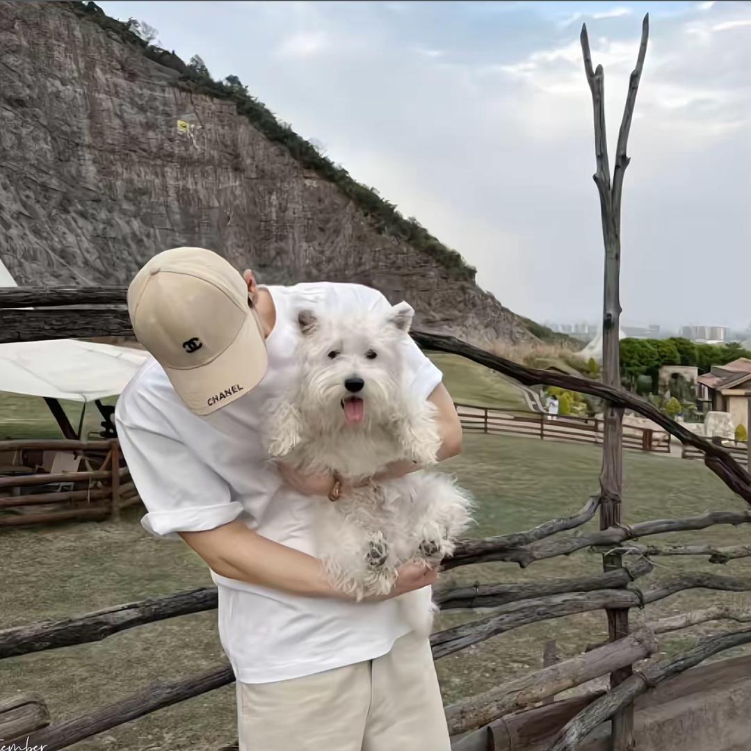 朱晓含
