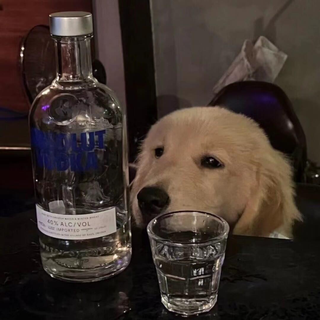 重生之假装sm真打死ni