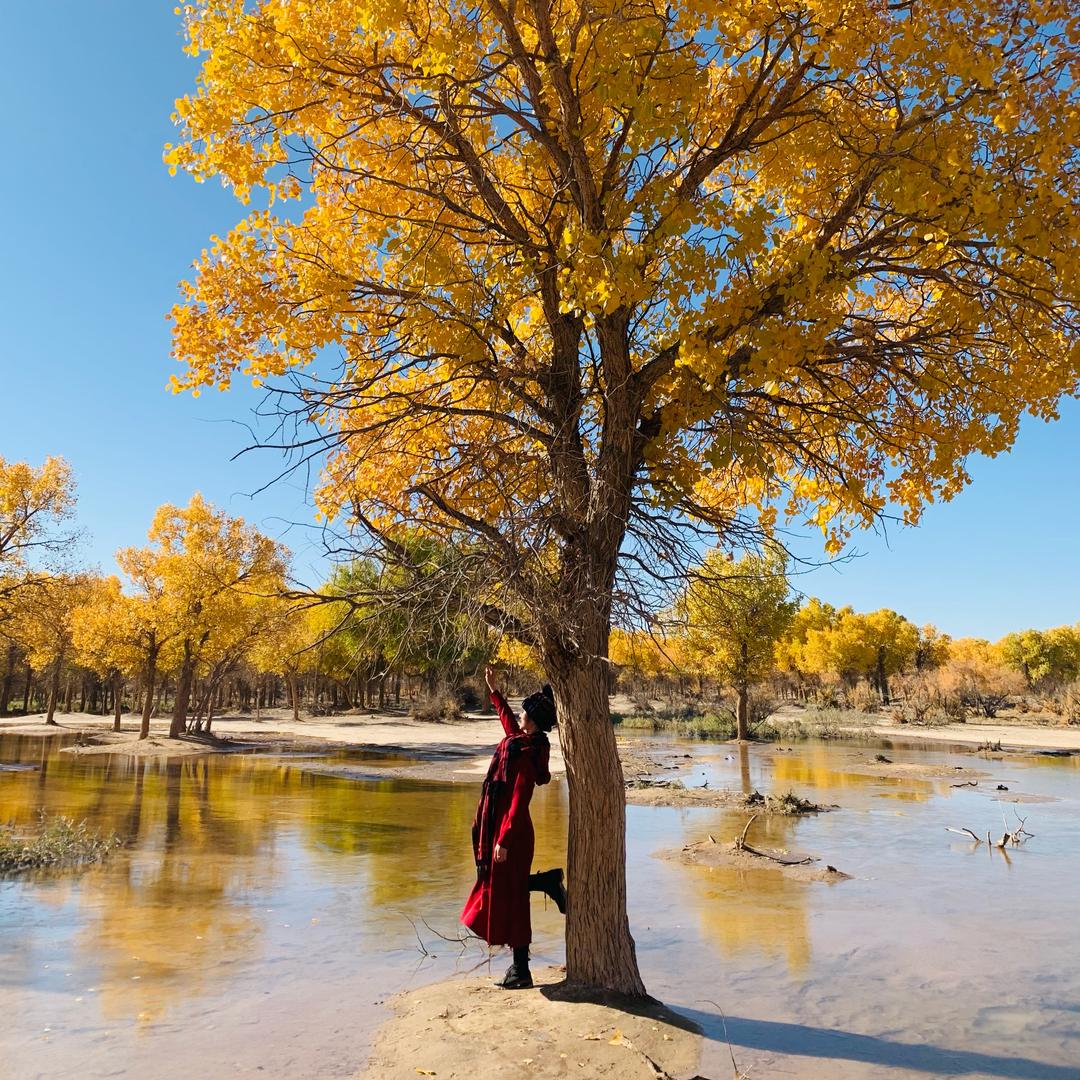 远方艺术中心-刘菲菲