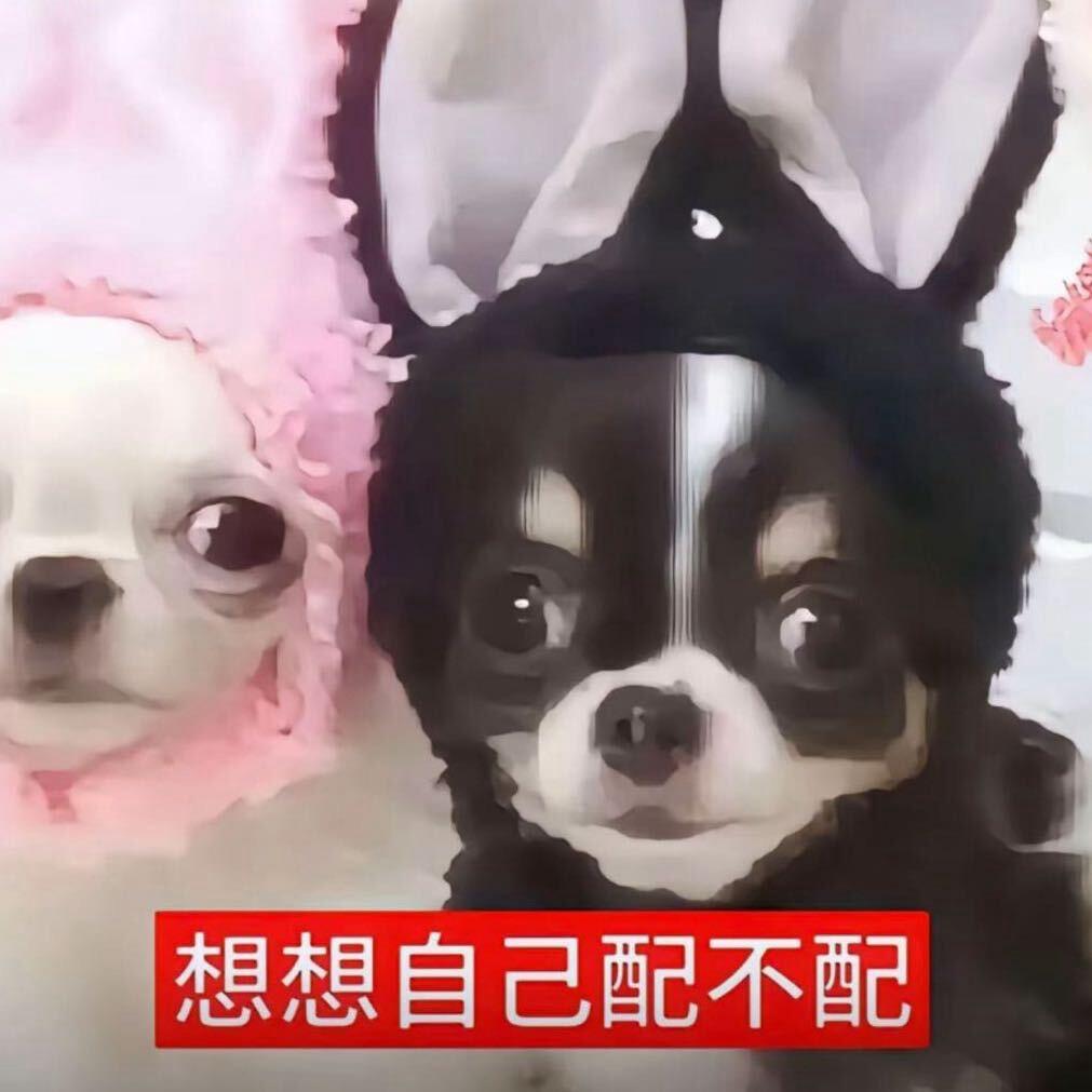 悲伤林俊杰（北京有票版）