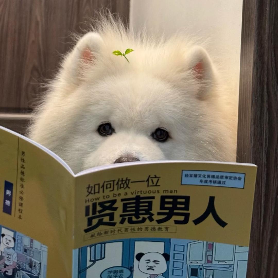 风继续吹.