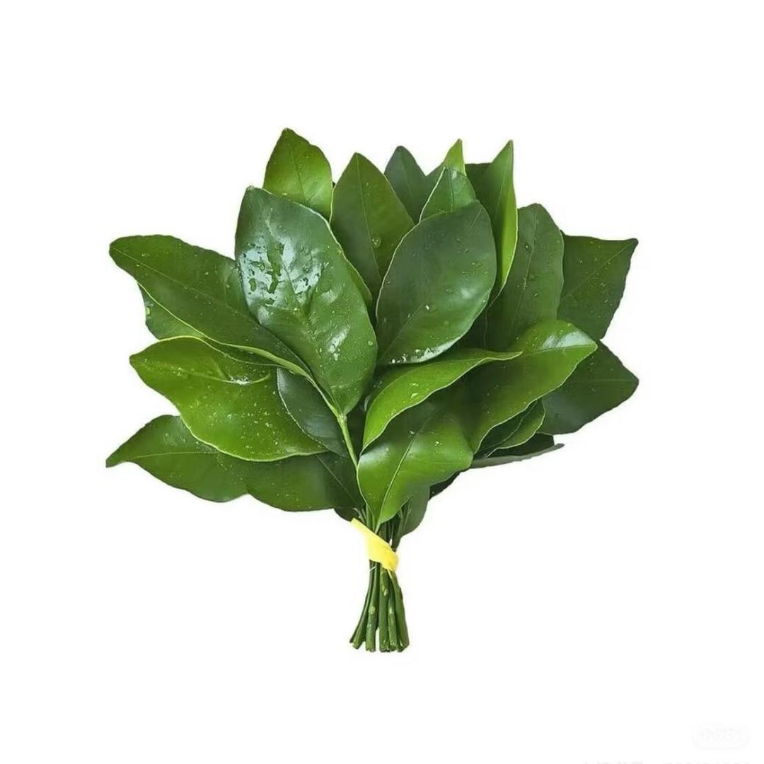 雅妍妍妍妍儿.
