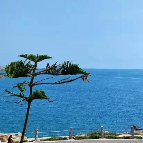 @執著🎤（拒私聊）