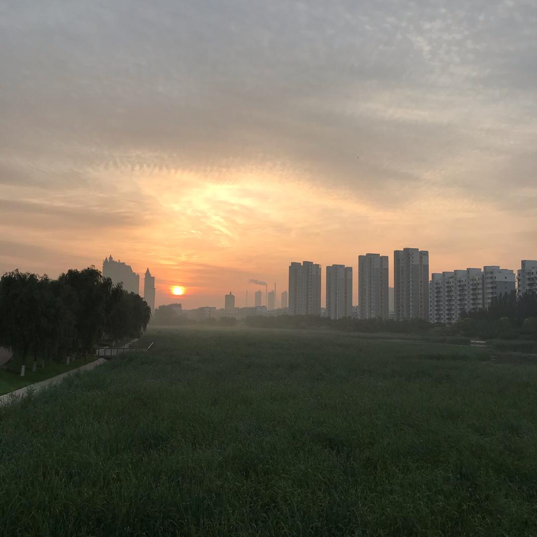 庆君?