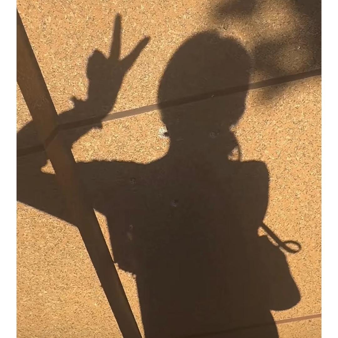 葵诺米饭©️