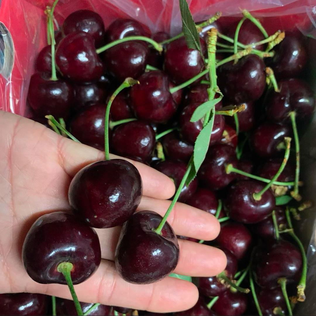 苏州季多鲜商贸有限公司