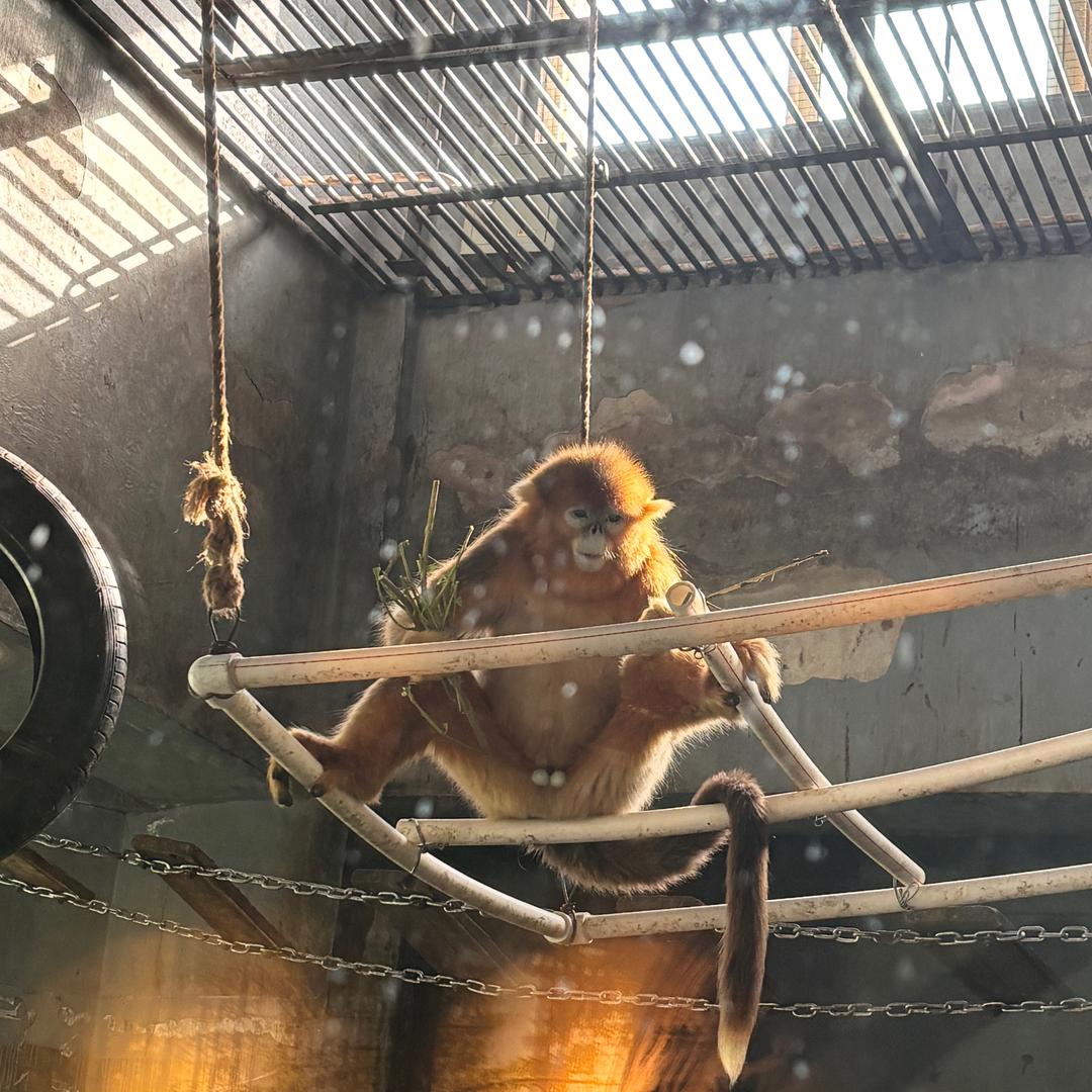 锦州锦牧动物医院
