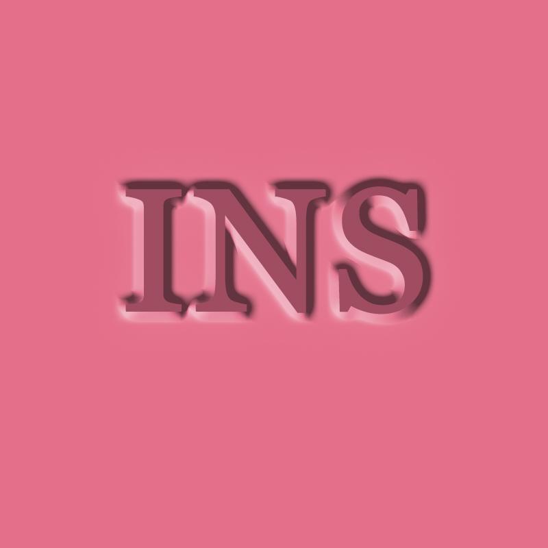 INS CEC女装旗舰店