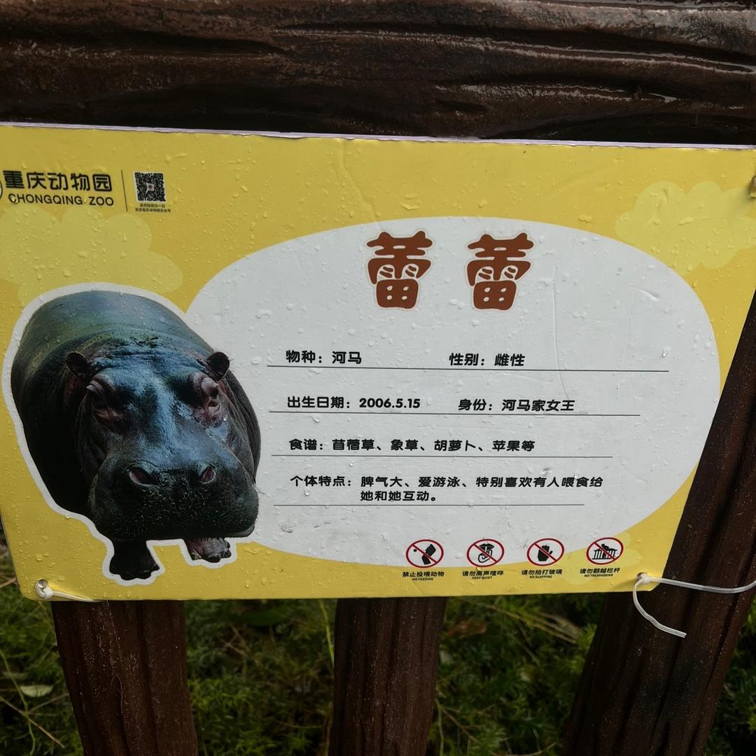 少校爱吃肉