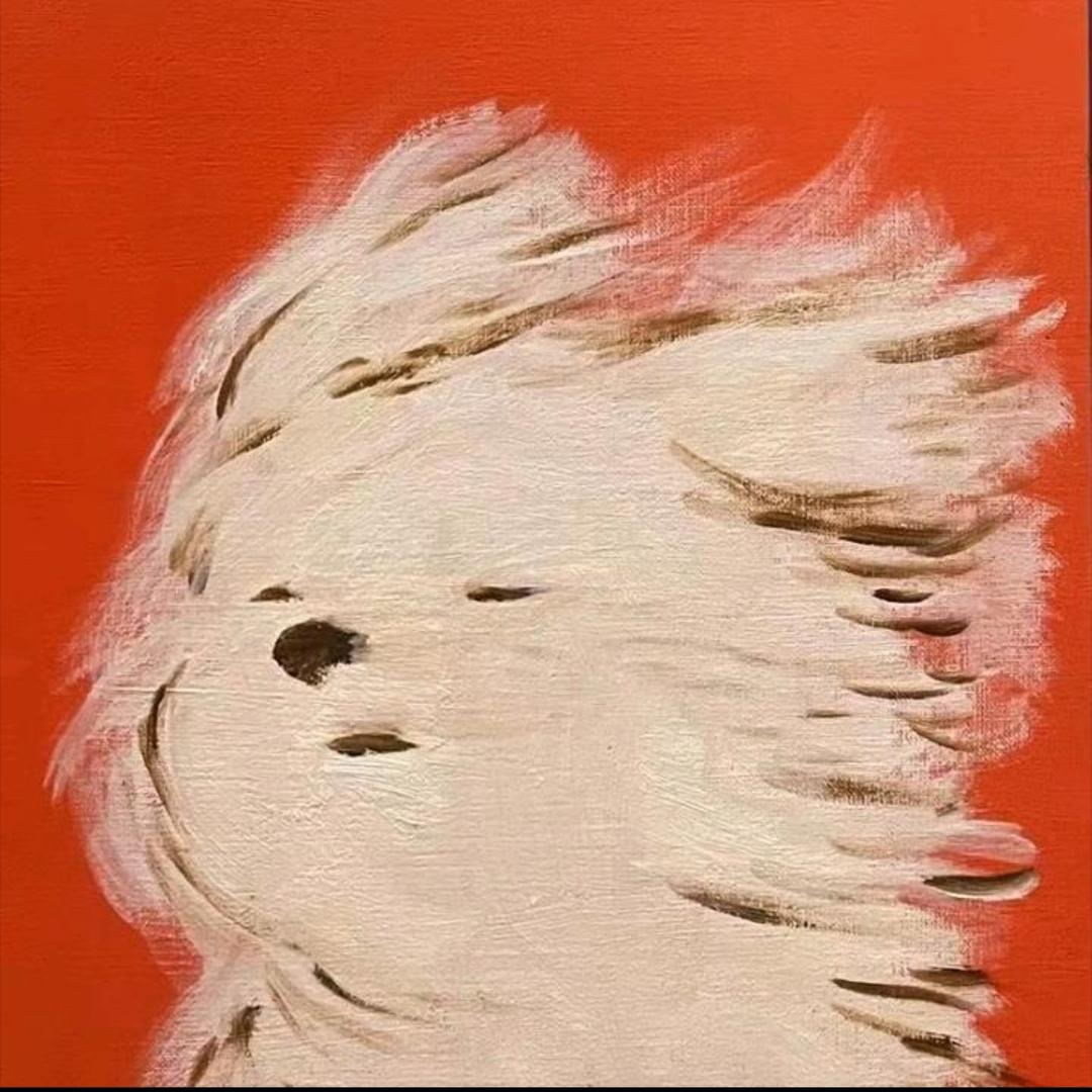 噜噜晓