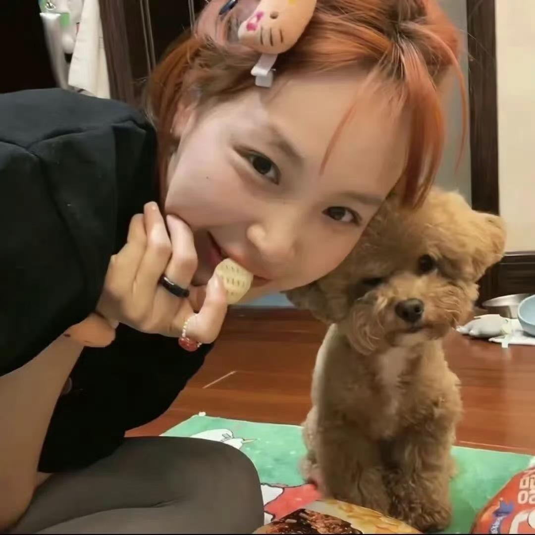 小狗穿拖鞋