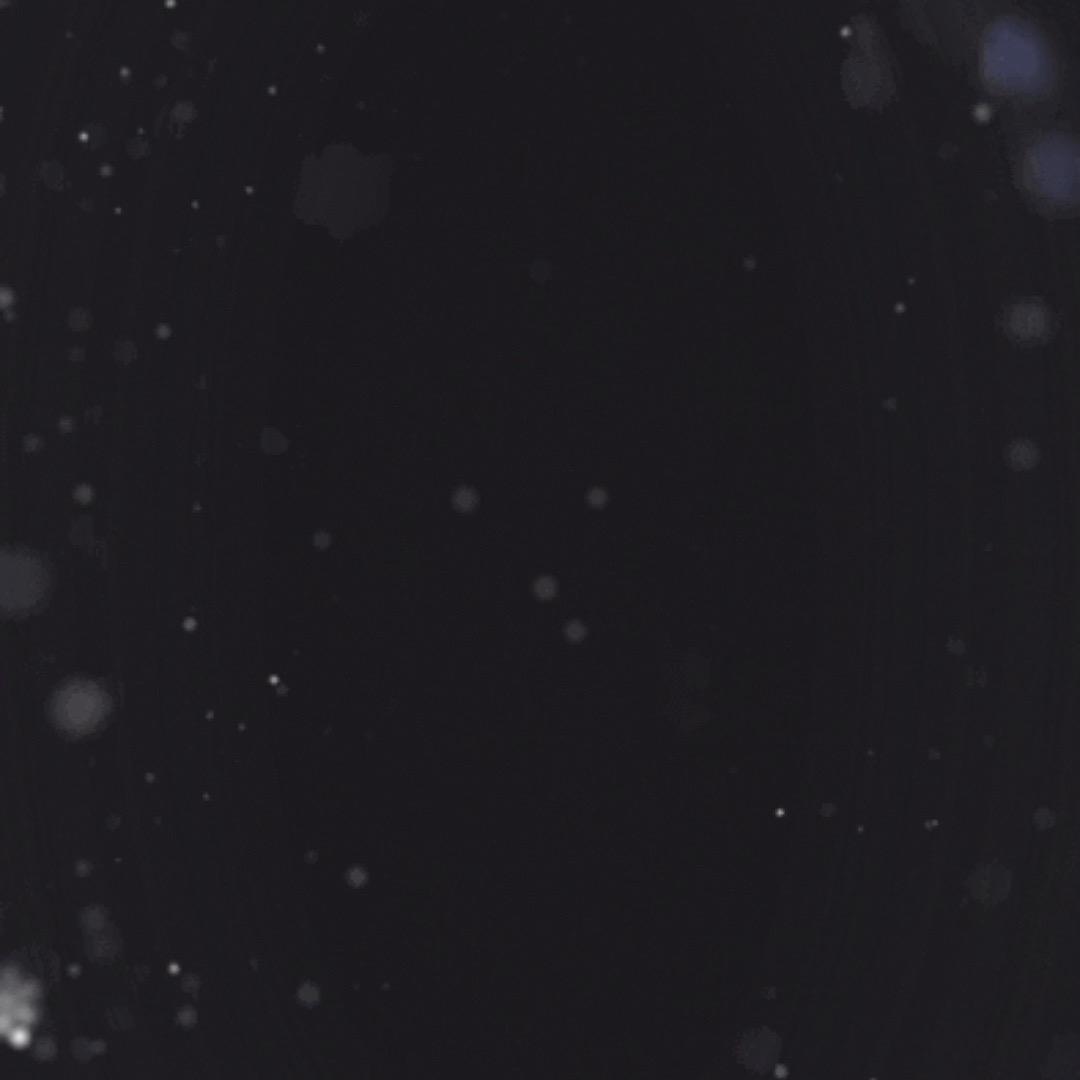 用户5684799113906