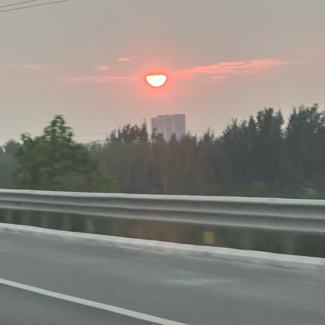 杨羊羊
