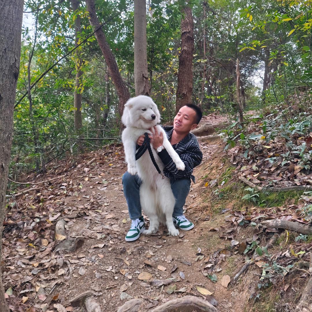 怪风太温柔i