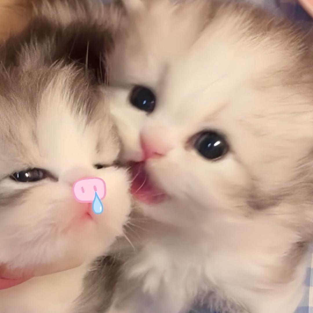 小乐崽>.<