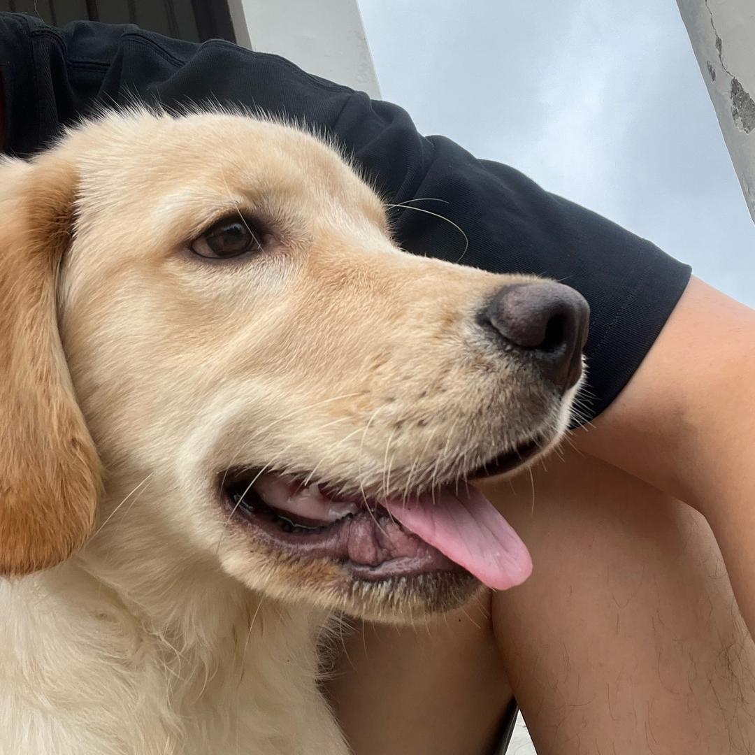 不知道取什么名字