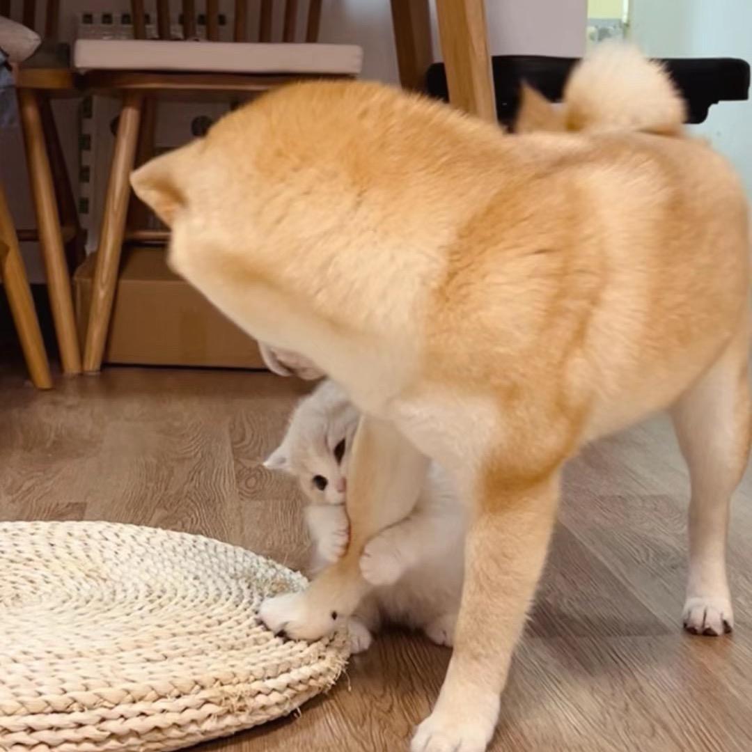 魏子乐
