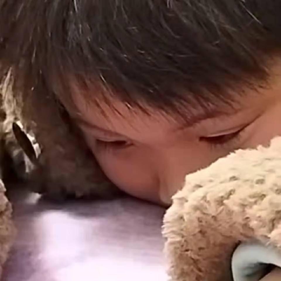 乖宝