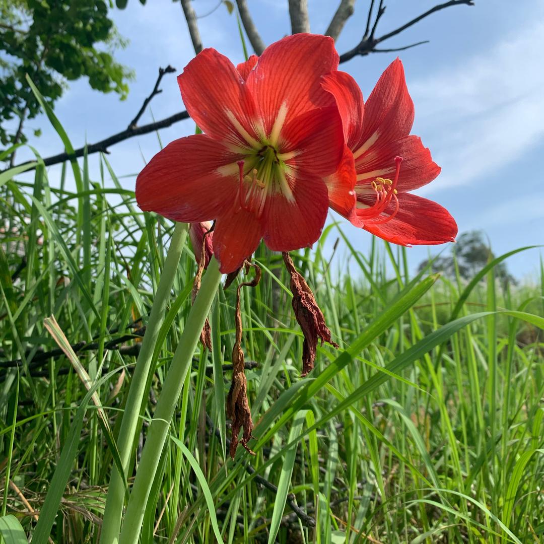 深港驾校沙头角训练场店～连连