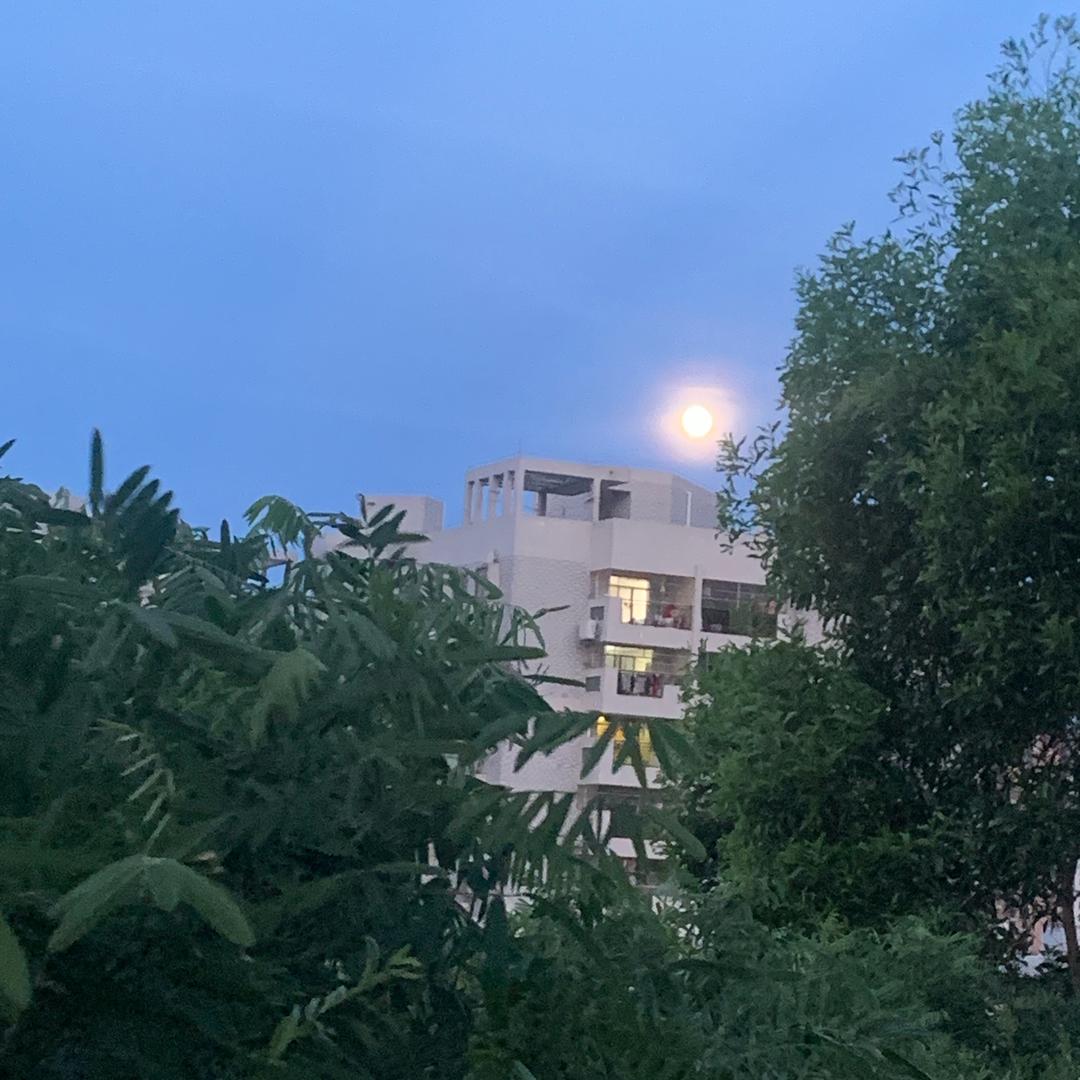 一帆风顺☘️