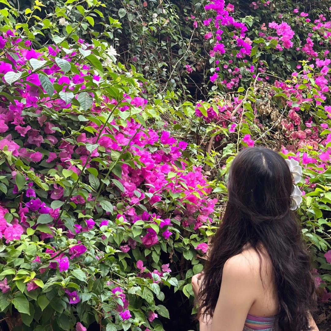 小🉑️乐